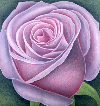 Big Rose by Ruth Addinall